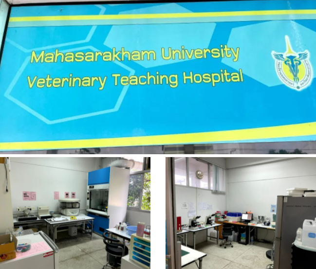 玛哈沙拉堪大学兽医学院