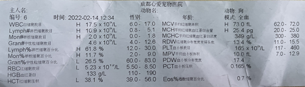 宠物生化机器怎么使用小黑从家中衣柜上坠地，四脚落地，冲击腹腔送诊时状态：小黑精神尚可，体温40.2℃，左后腿不能负重，兽医师触诊小黑左后腿明显疼痛，肿胀，晃动有骨摩擦音。_https://www.jmylbn.com_新闻资讯_第2张