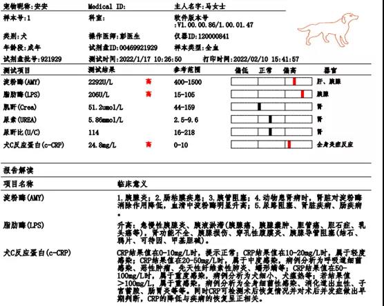 图3犬炎6项检测结果