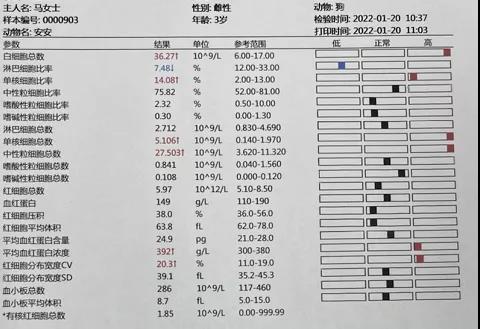 图5治疗后全血细胞计数结果