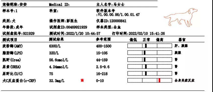 图6治疗后犬炎6项检测结果