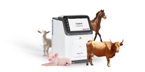 V7兽用全自动生化分析仪|大动物诊断